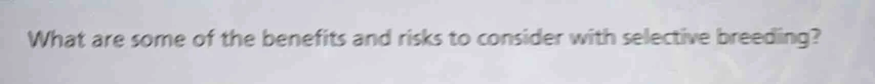 what are some of the benefits and risks to consider with selective bree…