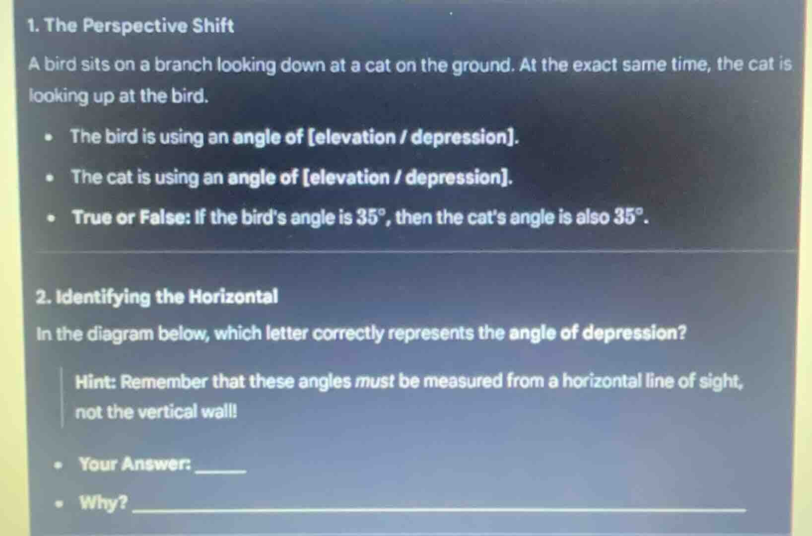 1. the perspective shift a bird sits on a branch looking down at a cat …