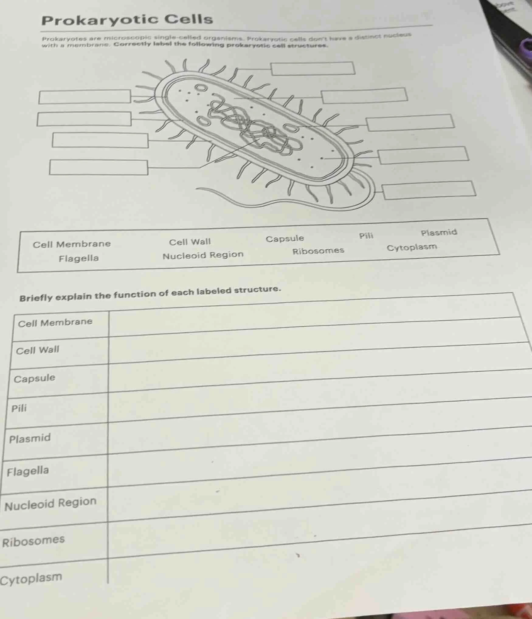prokaryotic cells prokaryotes are microscopic single - celled organisms…