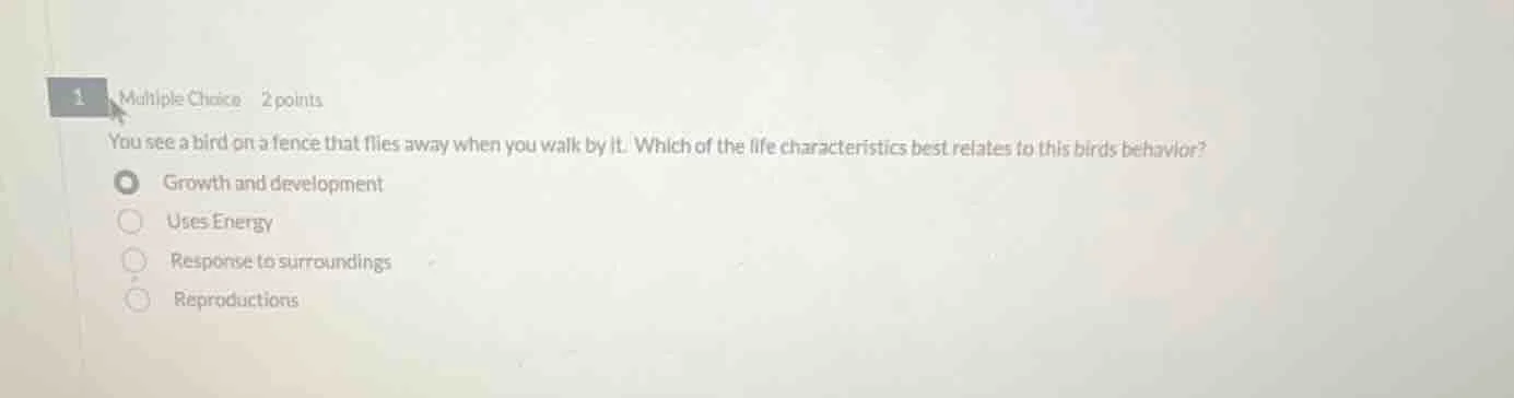 1 multiple choice 2 points you see a bird on a fence that flies away wh…