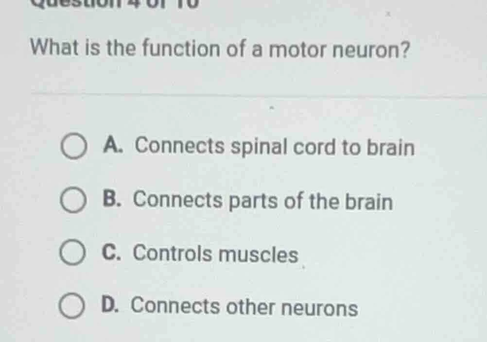 question 4 of 10 what is the function of a motor neuron? a. connects sp…