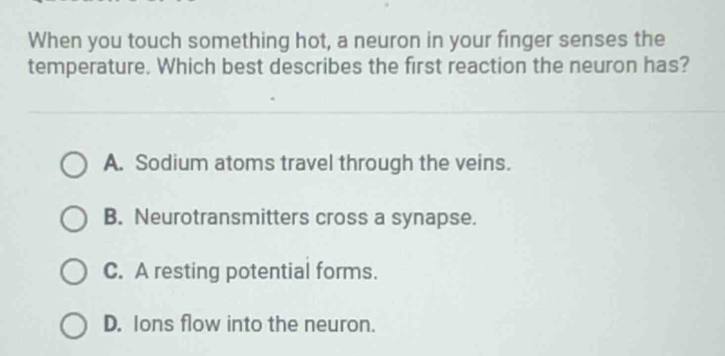 when you touch something hot, a neuron in your finger senses the temper…
