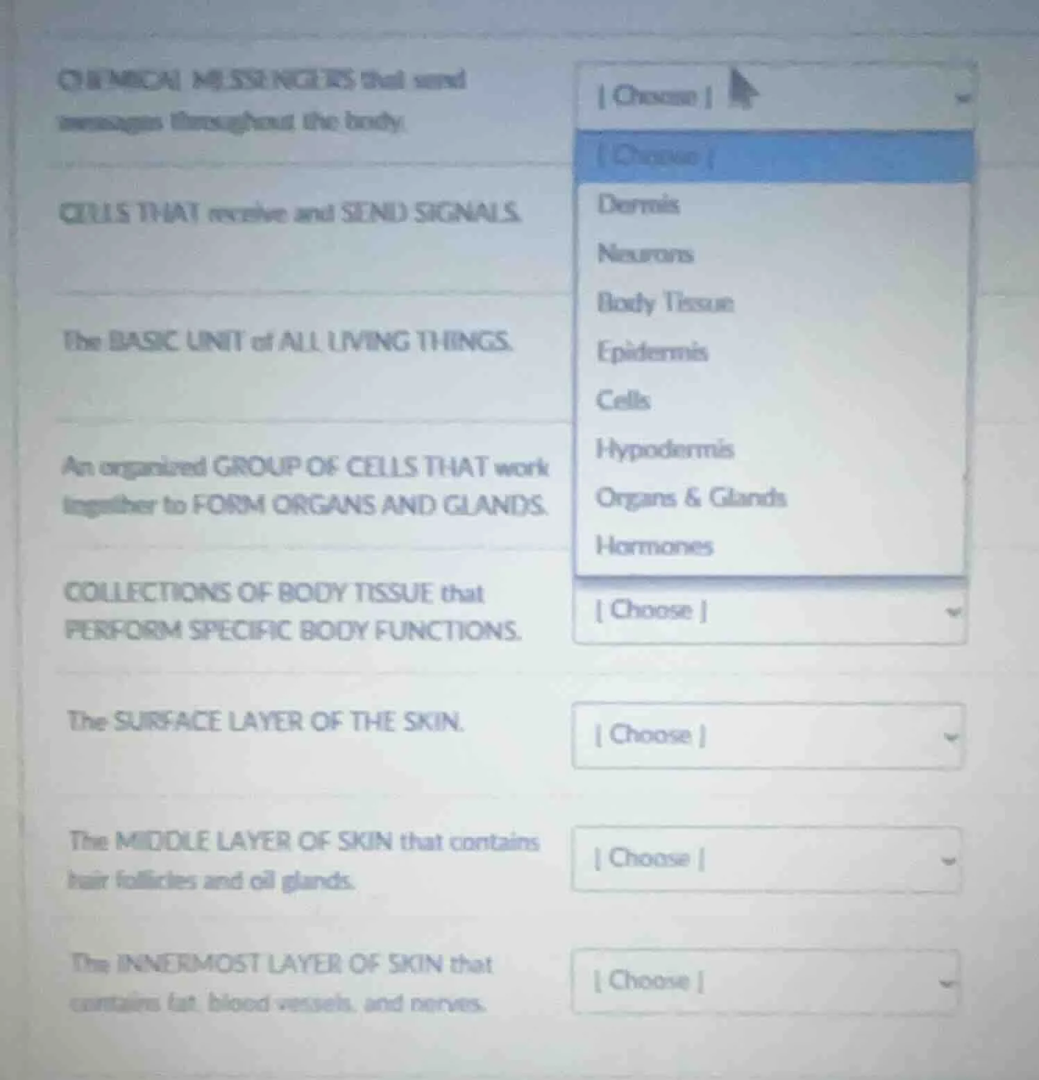 chemical messengers that send messages throughout the body. cells that …