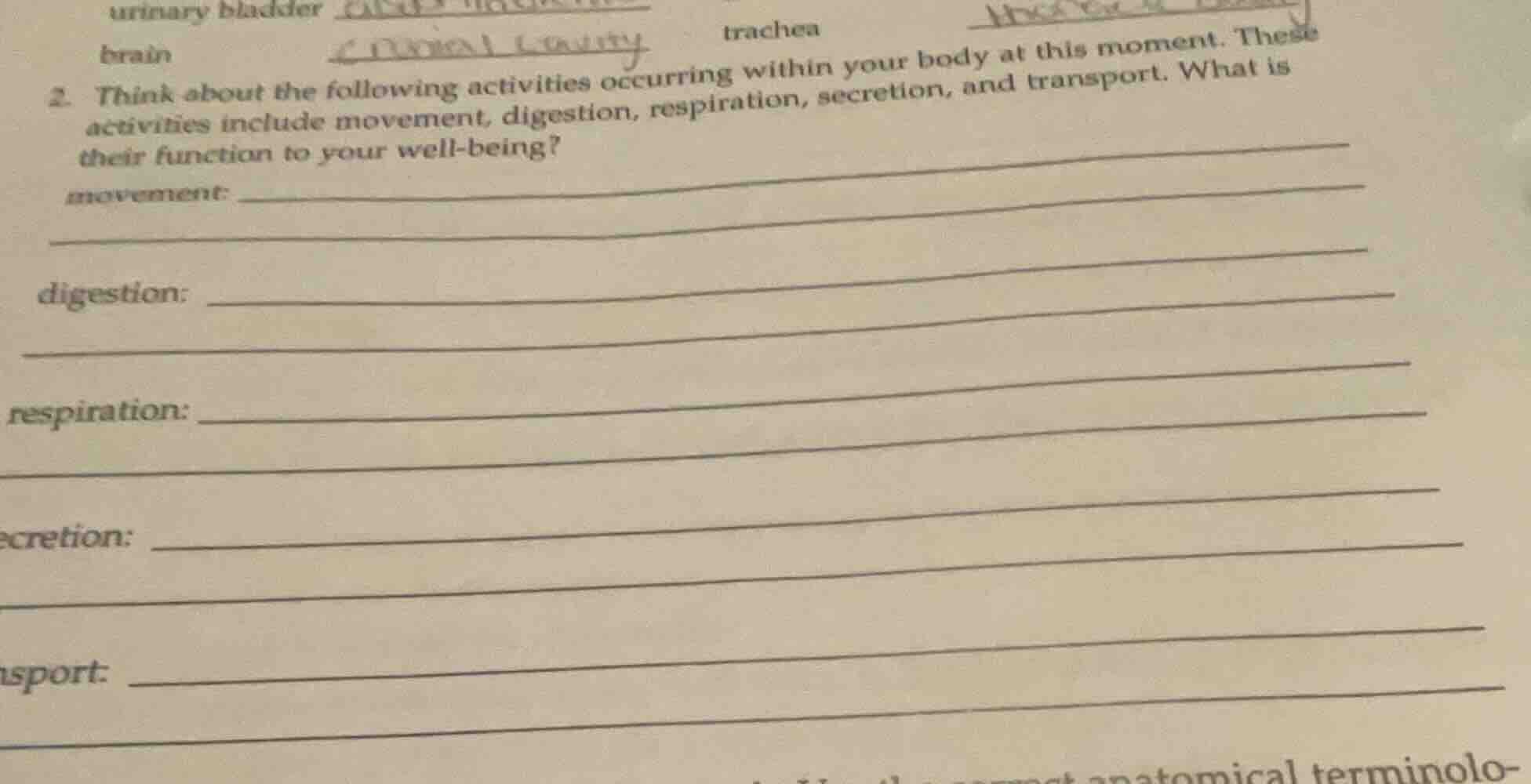 2. think about the following activities occurring within your body at t…