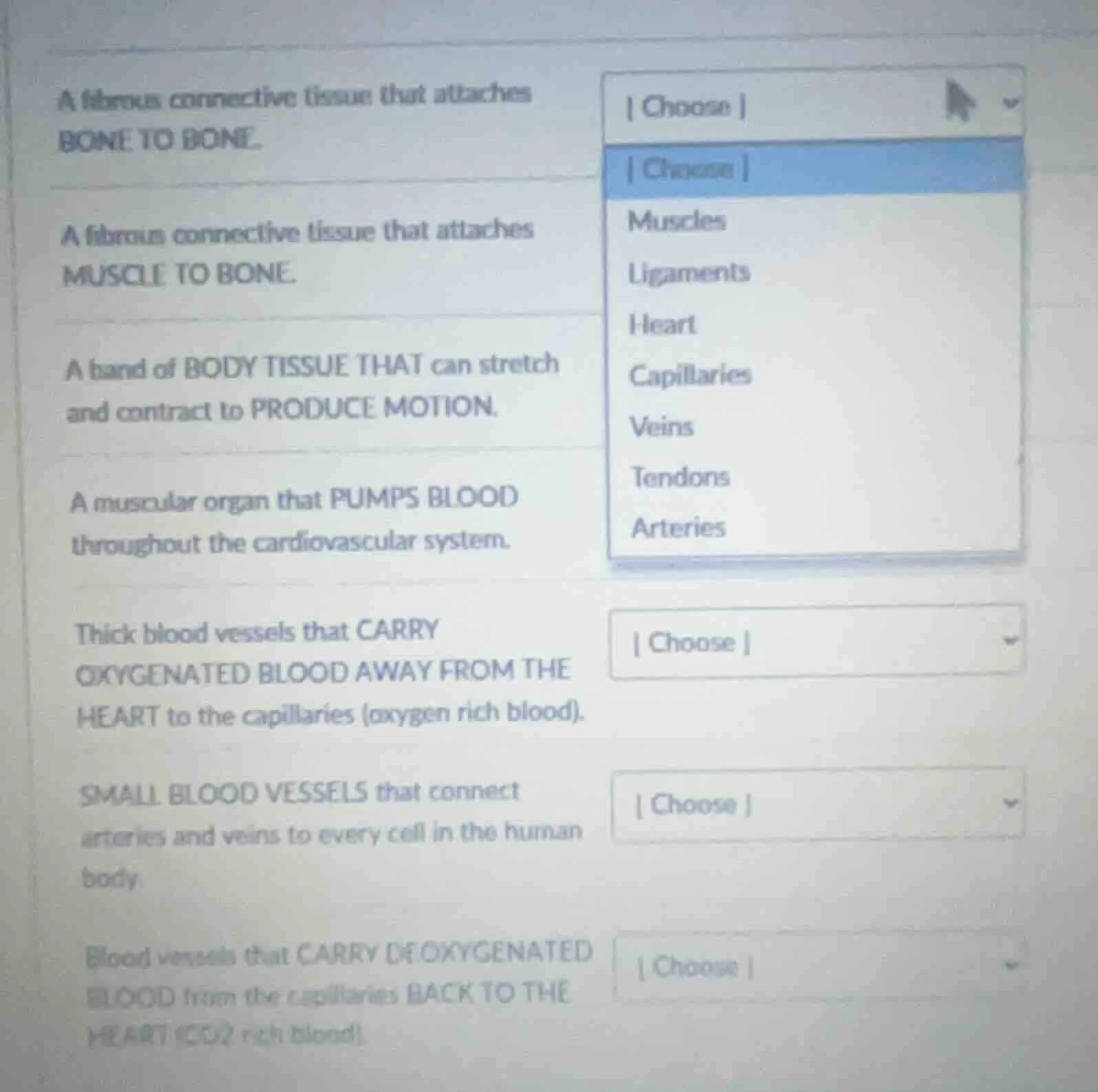 a fibrous connective tissue that attaches bone to bone. a fibrous conne…