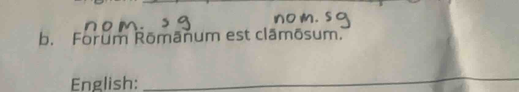 b. nom. sg forum rōmānum est clāmōsum. english: ______