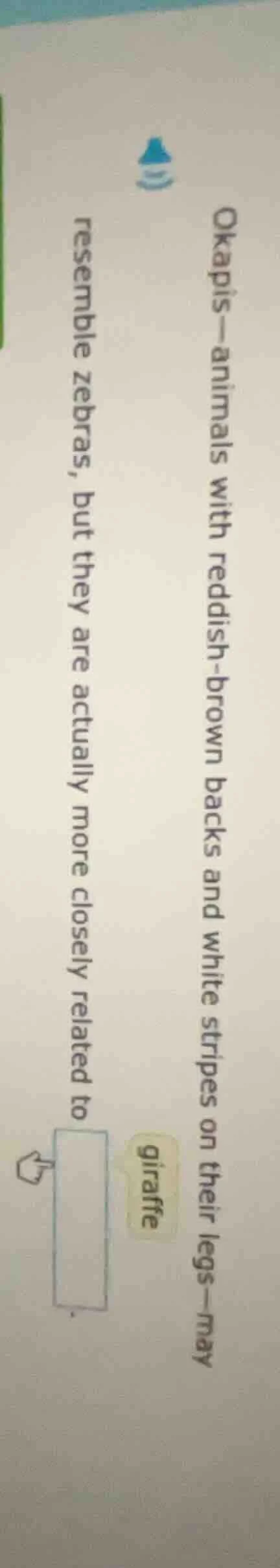 okapis—animals with reddish - brown backs and white stripes on their le…