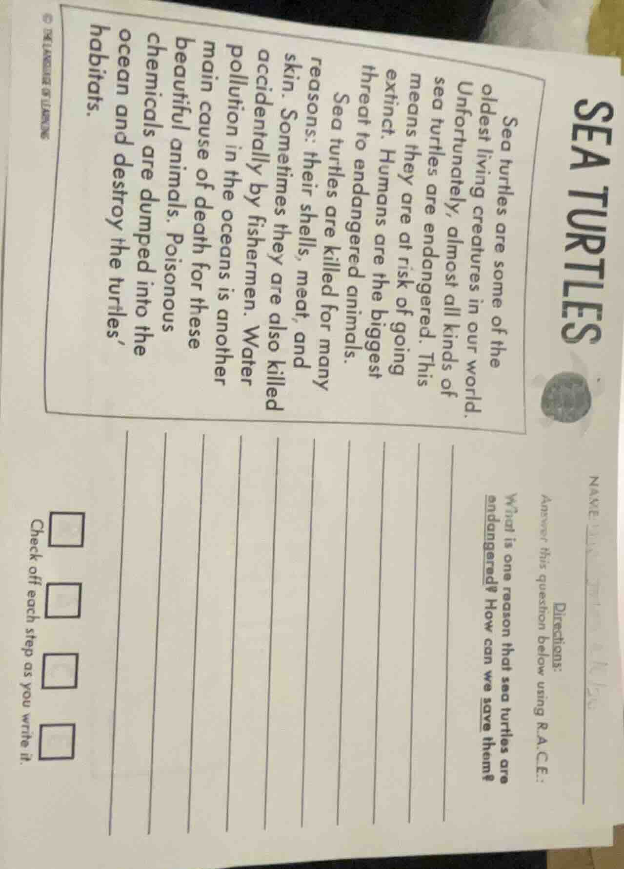 sea turtles sea turtles are some of the oldest living creatures in our …