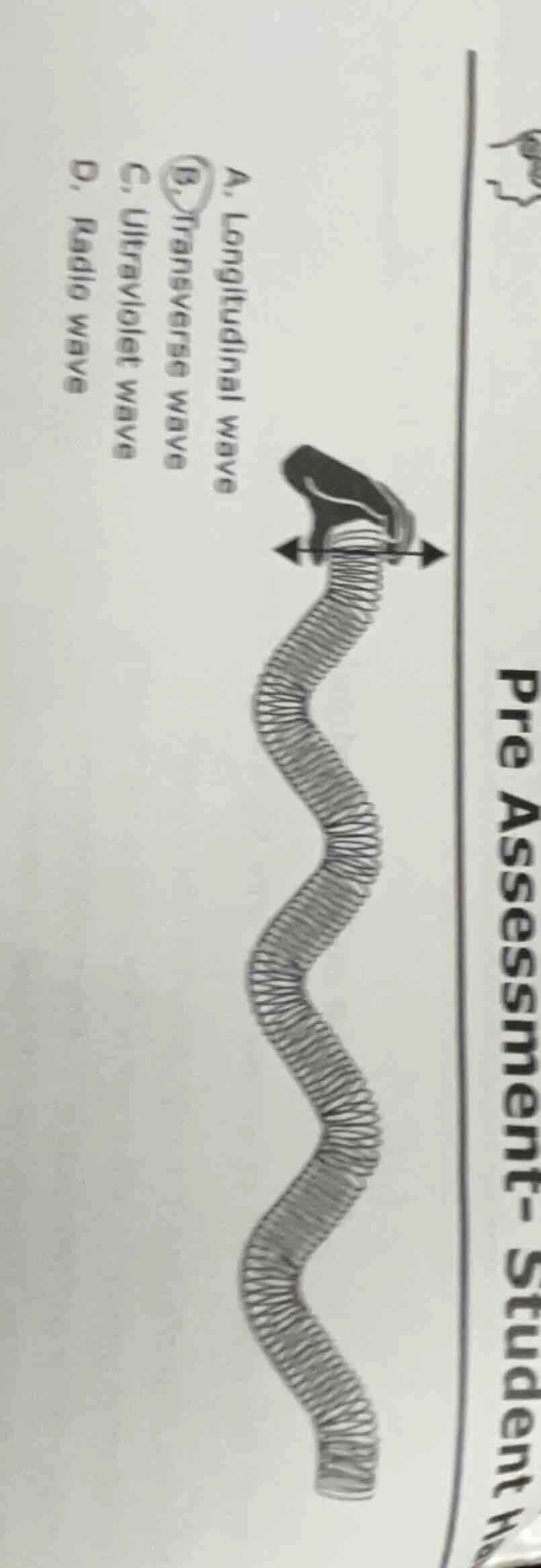 pre assessment- student a. longitudinal wave b. transverse wave c. ultr…