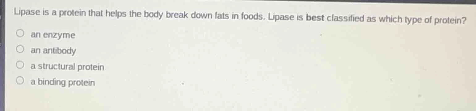 lipase is a protein that helps the body break down fats in foods. lipas…