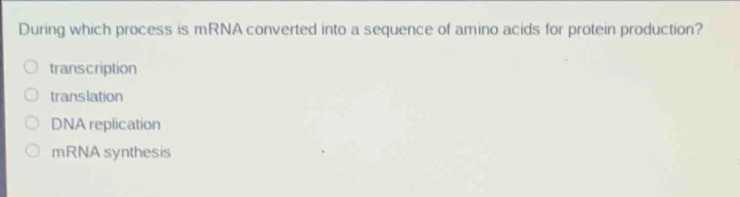during which process is mrna converted into a sequence of amino acids f…