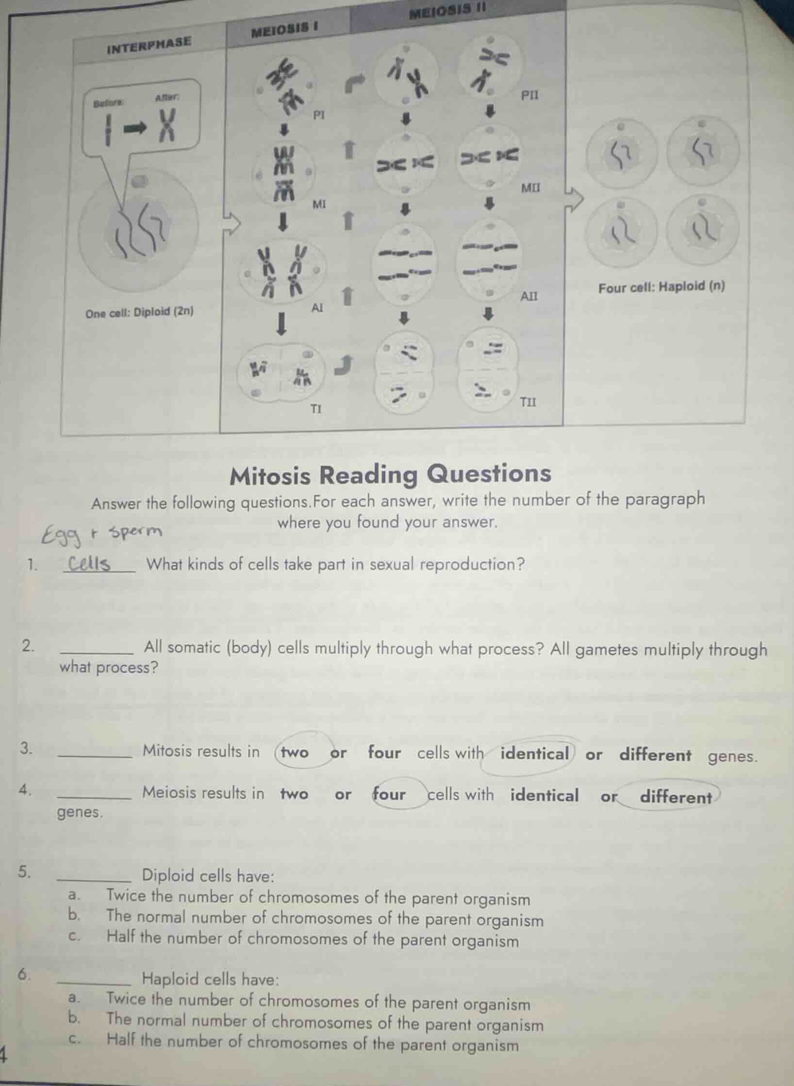 mitosis reading questions answer the following questions.for each answe…