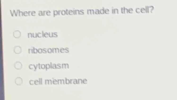 where are proteins made in the cell? ○ nucleus ○ ribosomes ○ cytoplasm …