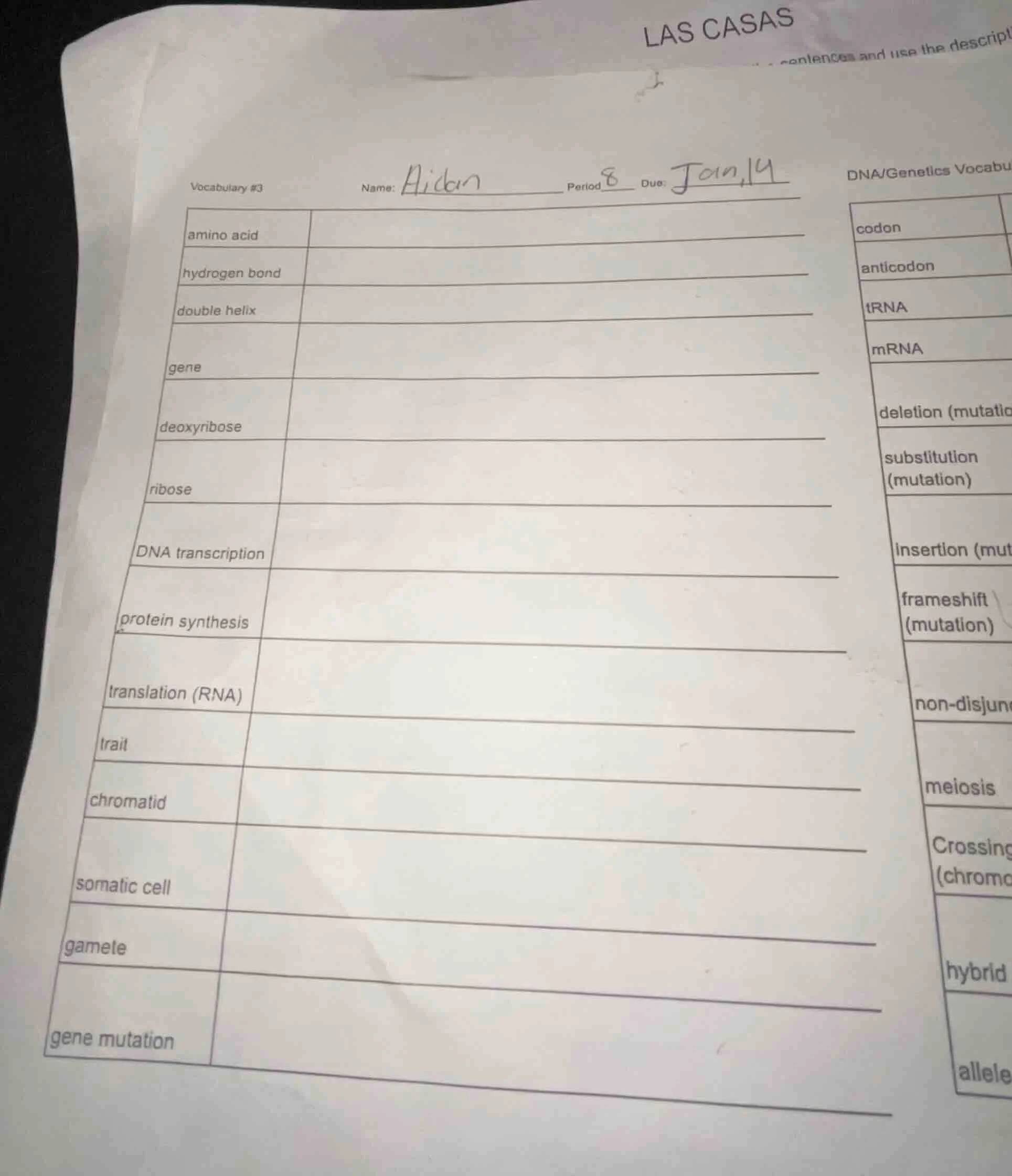 vocabulary #3 name: aiden period 8 due: jan,14 dna/genetics vocabu amin…