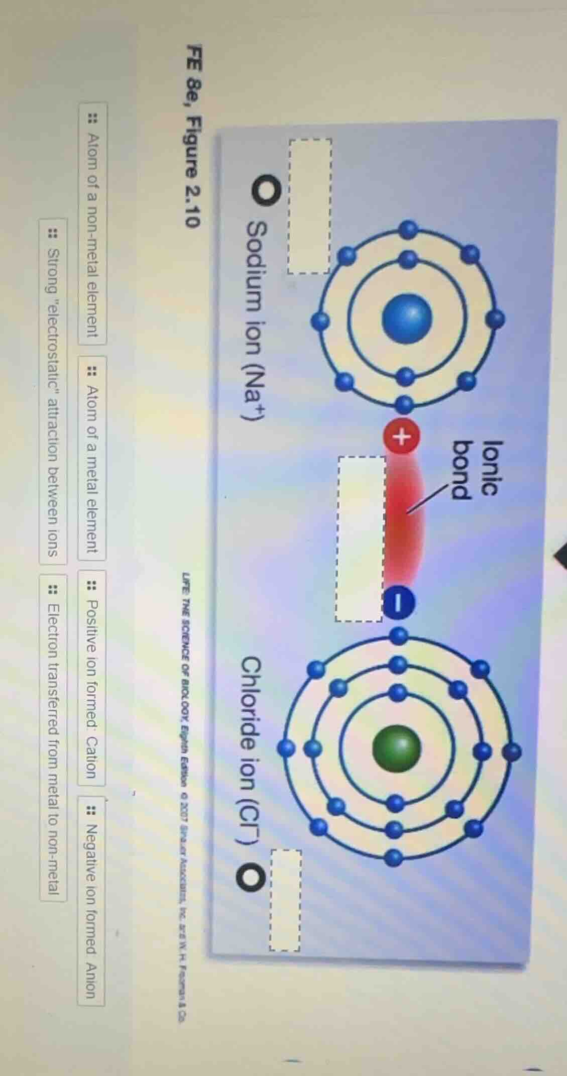 fe 8e, figure 2.10 atom of a non - metal element strong \electrostatic\…