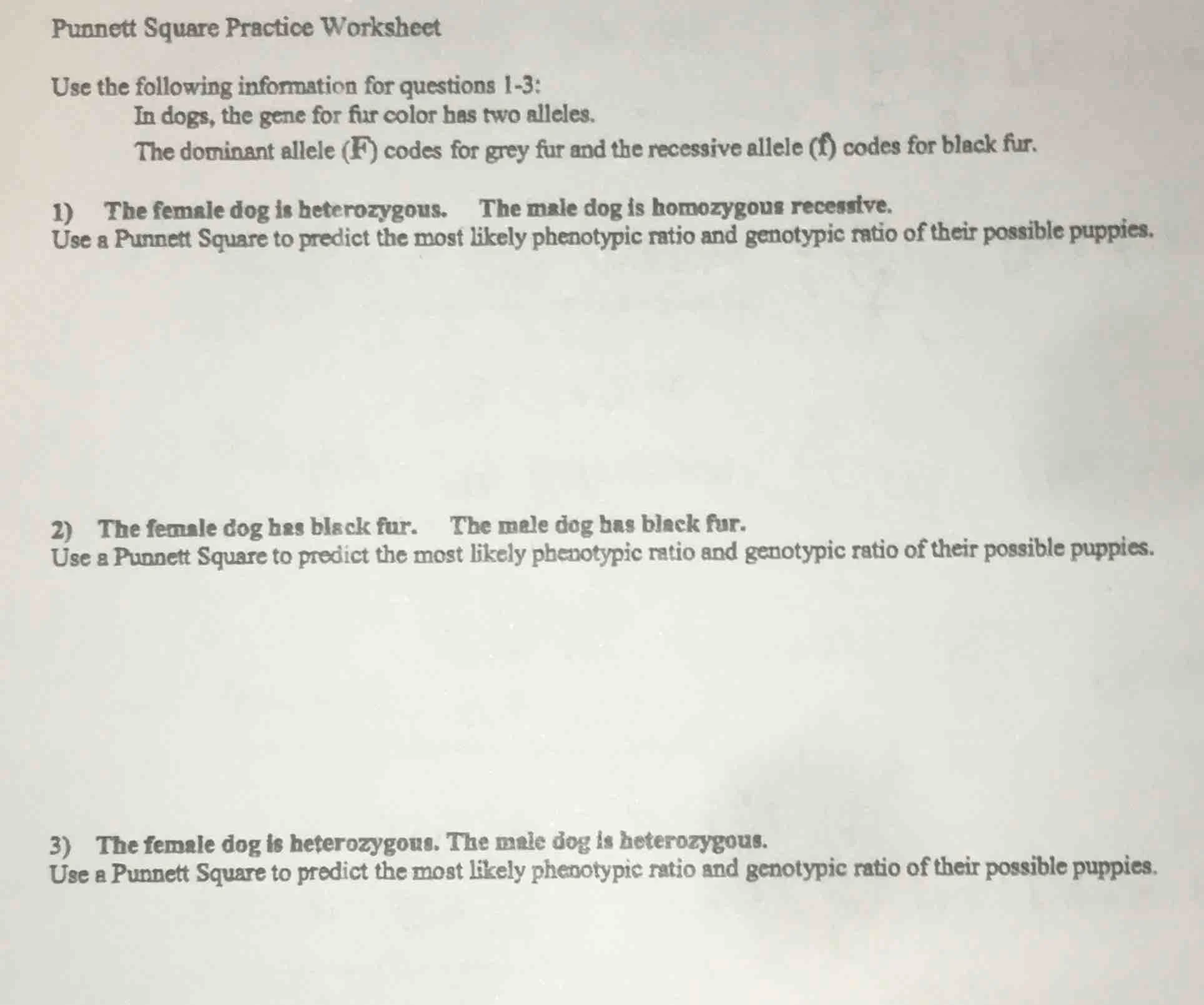 punnett square practice worksheet use the following information for que…