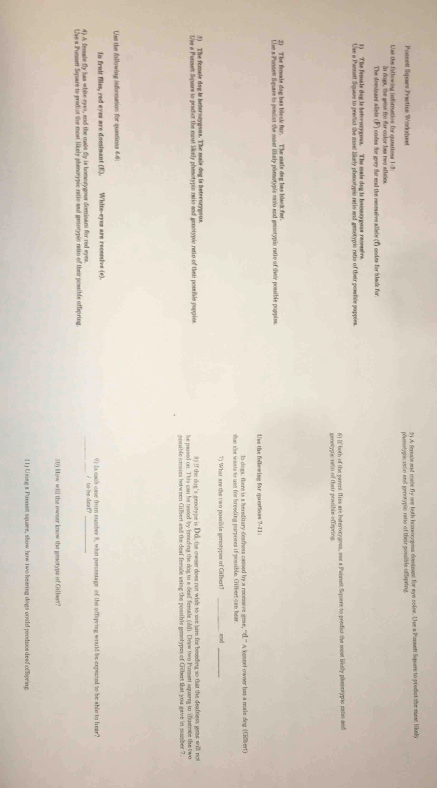 punnett square practice worksheet use the following information for que…
