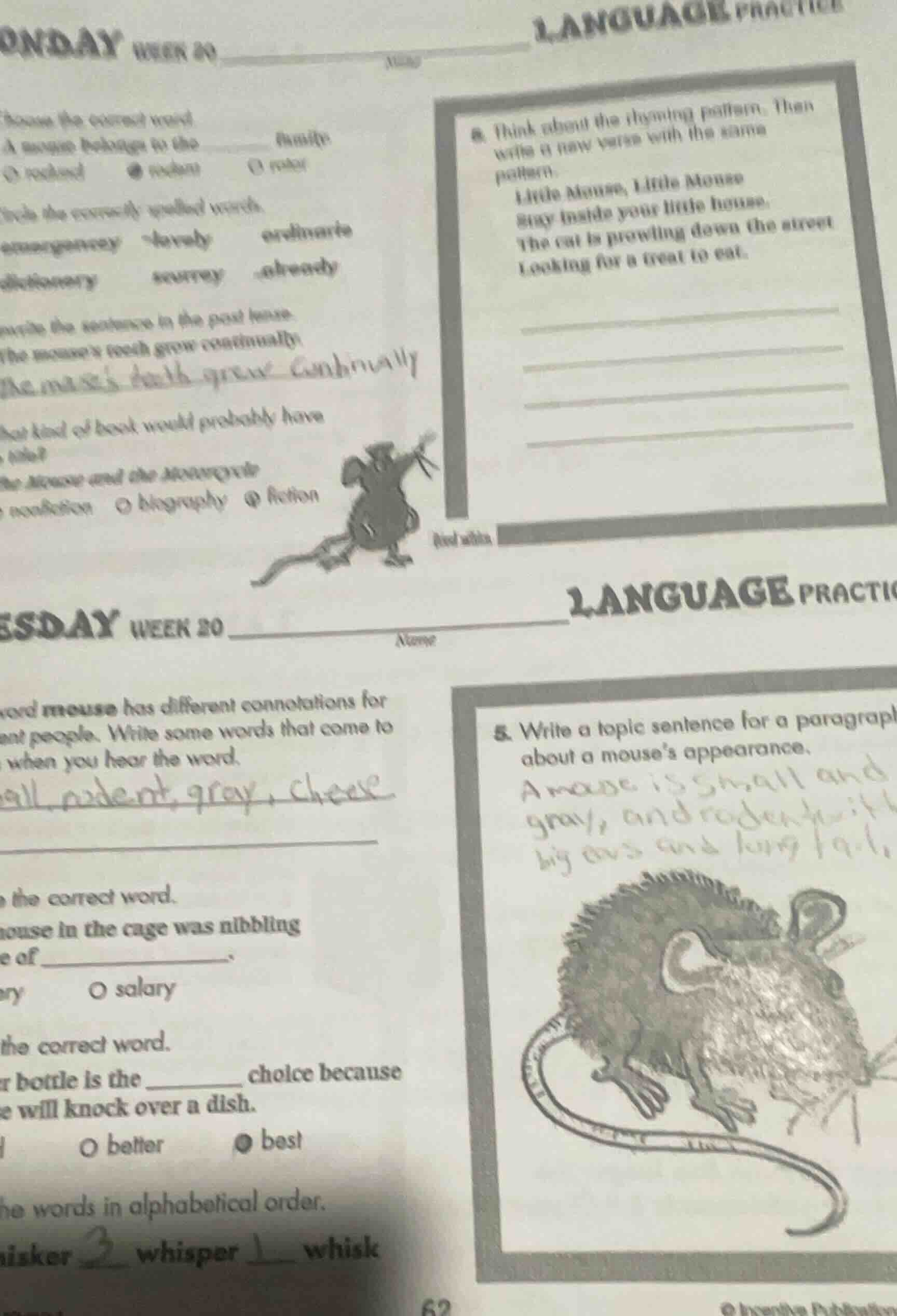 monday week 20 name language practice choose the correct word. a mouse …