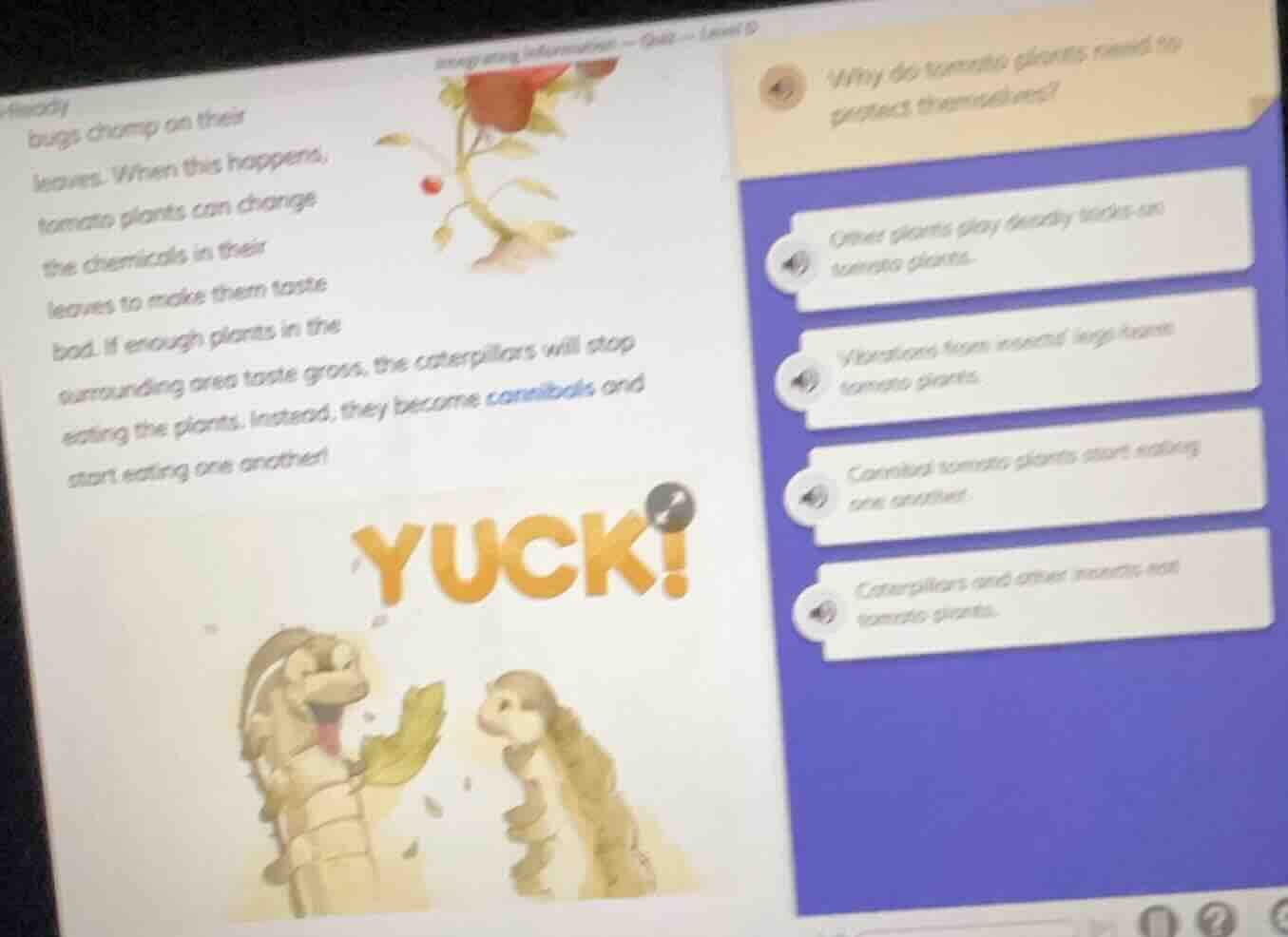 bugs chomp on their leaves. when this happens, tomato plants can change…