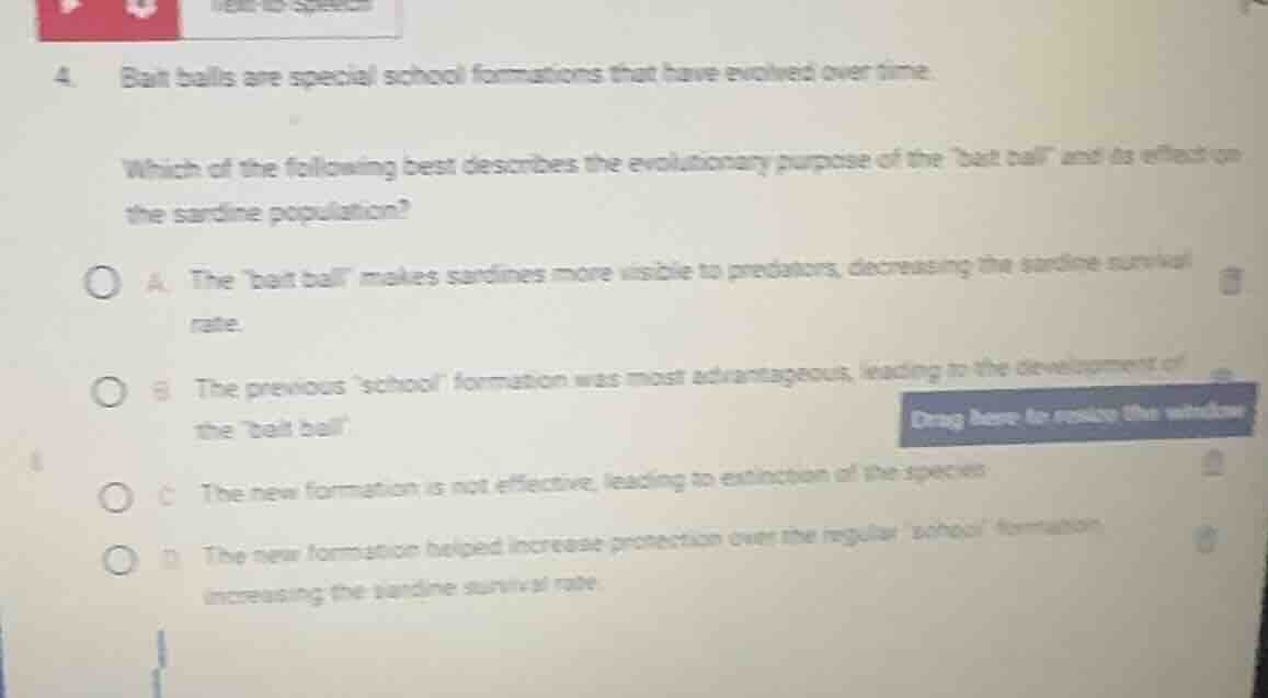 4. bait balls are special school formations that have evolved over time…
