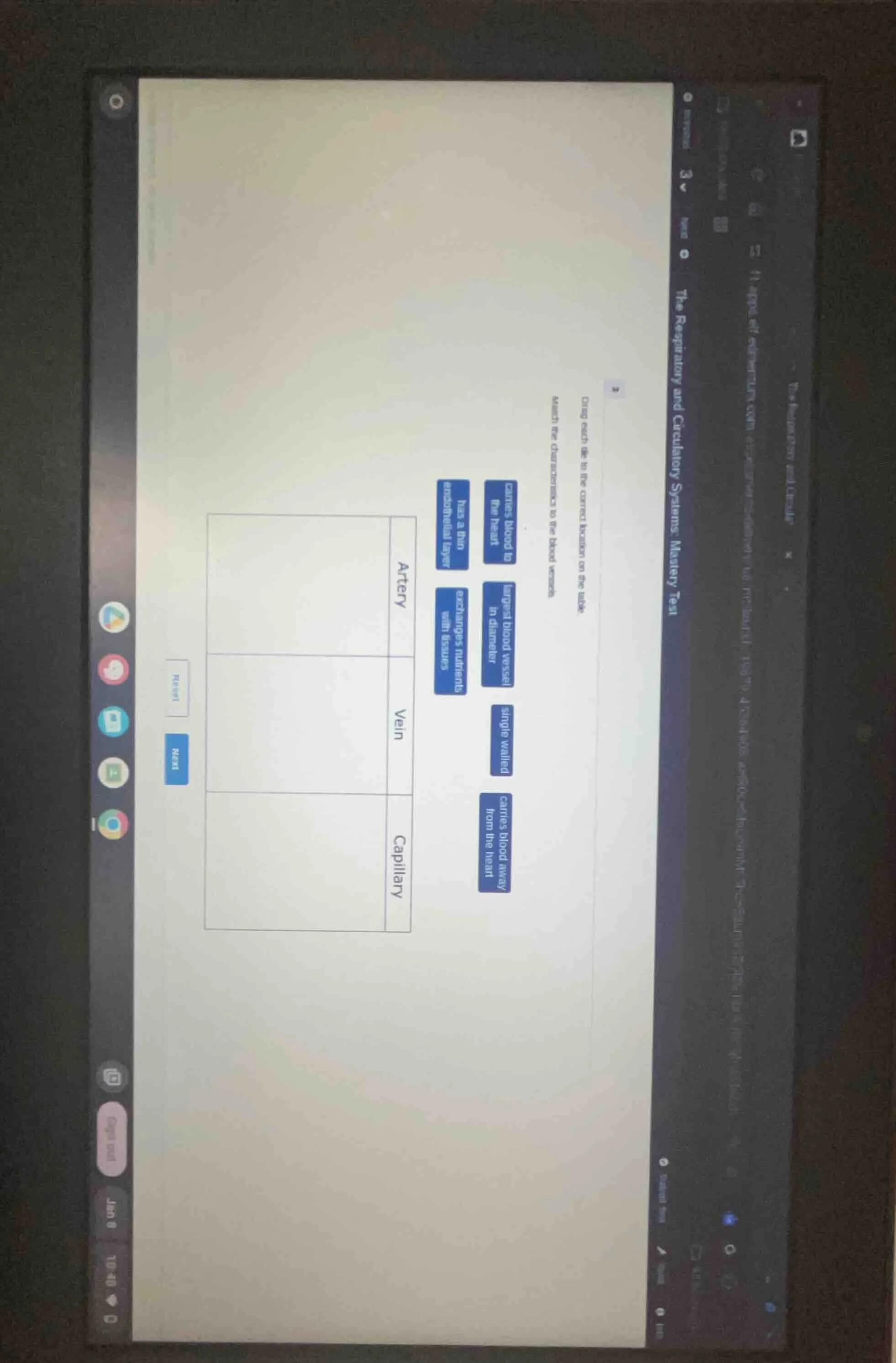 3 drag each tile to the correct box on the table. match the characteris…