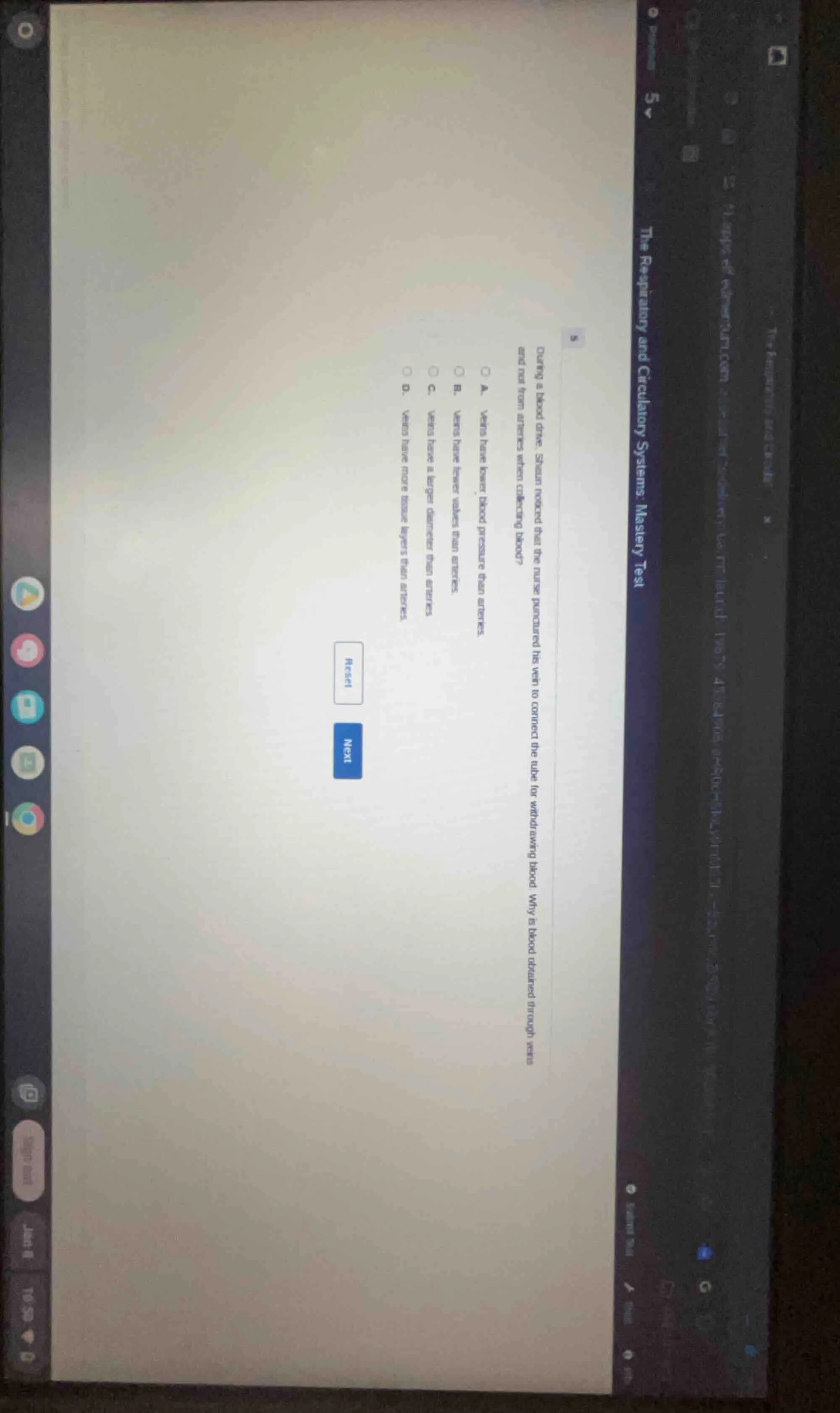 5 the respiratory and circulatory systems: mastery test during a blood …