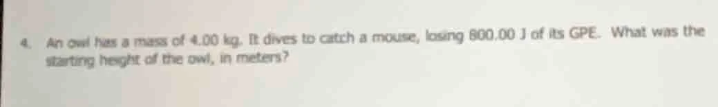 4. an owl has a mass of 4.00 kg. it dives to catch a mouse, losing 800.…