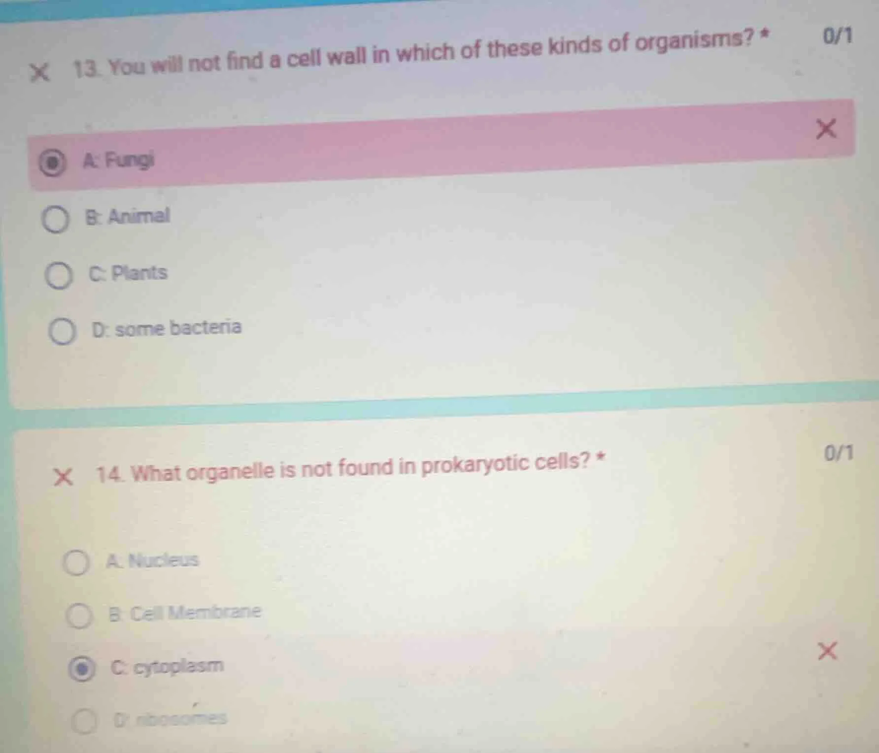 13. you will not find a cell wall in which of these kinds of organisms?…