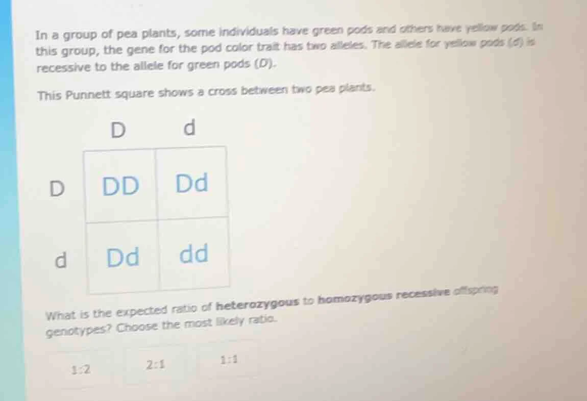 in a group of pea plants, some individuals have green pods and others h…