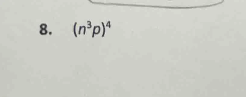 8. $(n^{3}p)^{4}$