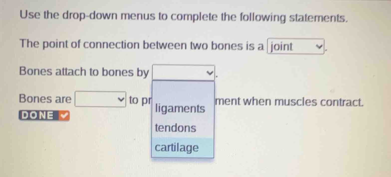 use the drop-down menus to complete the following statements. the point…