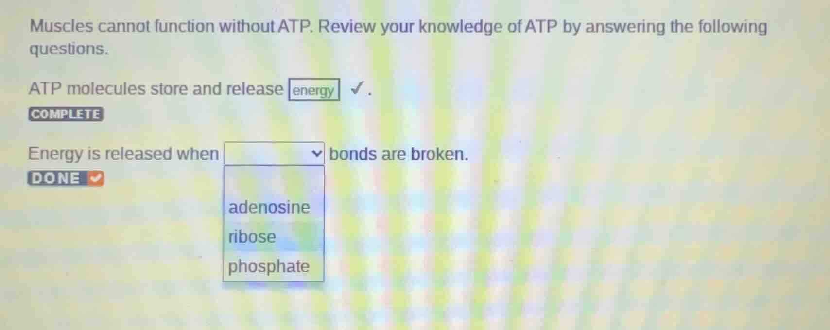 muscles cannot function without atp. review your knowledge of atp by an…