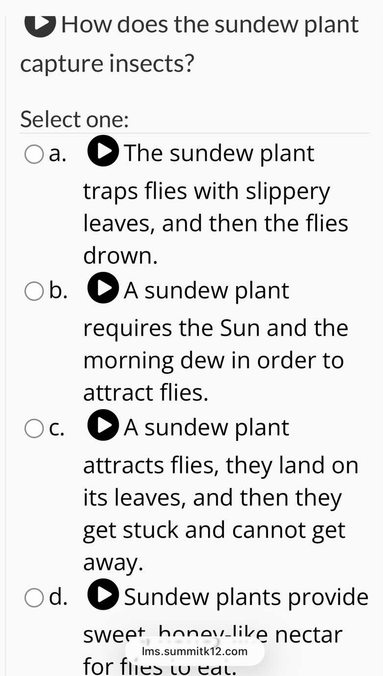 how does the sundew plant capture insects? select one: a. the sundew pl…