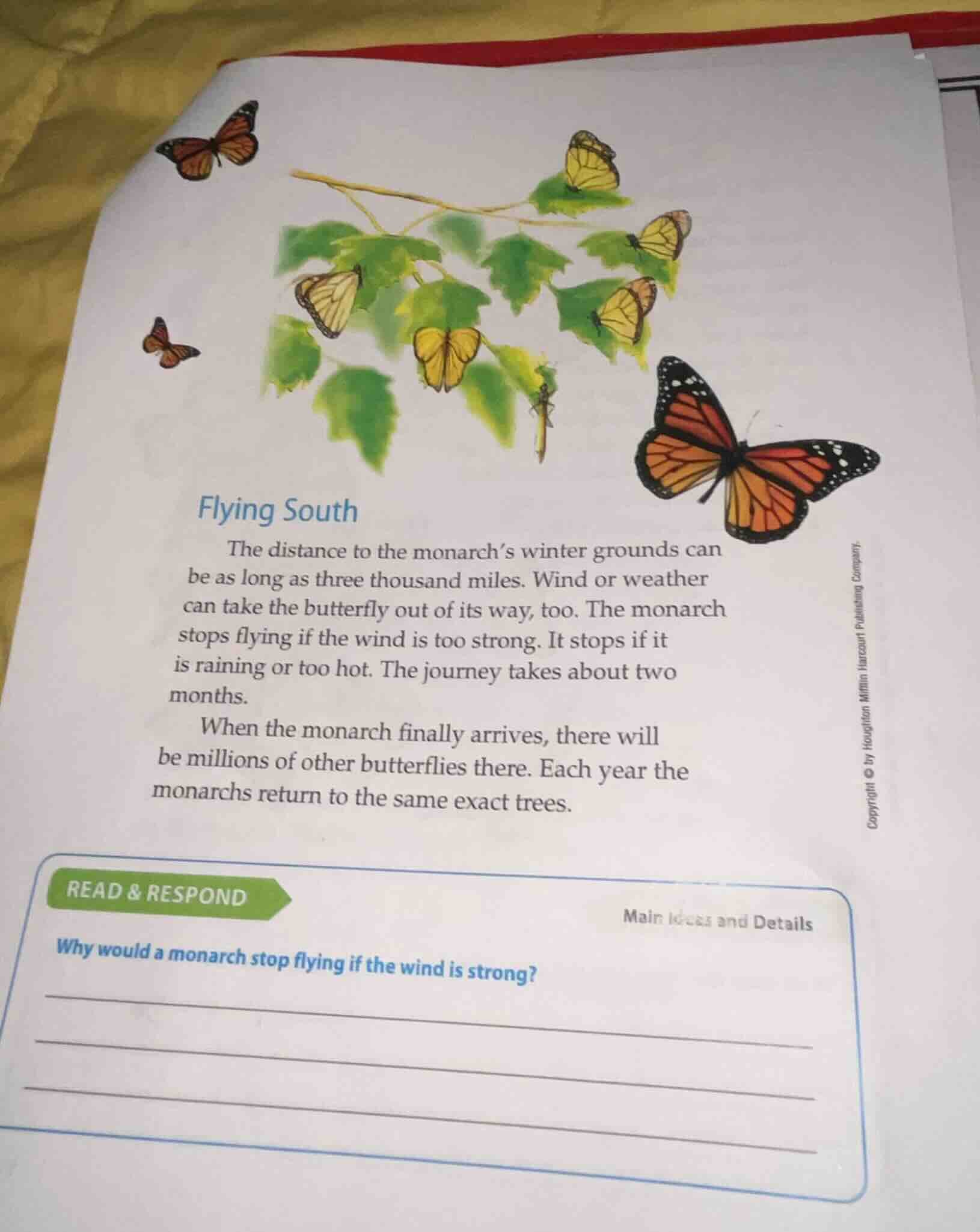 flying south the distance to the monarch’s winter grounds can be as lon…