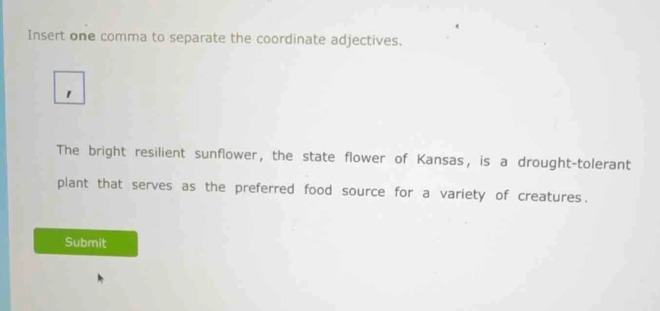 insert one comma to separate the coordinate adjectives. , the bright re…