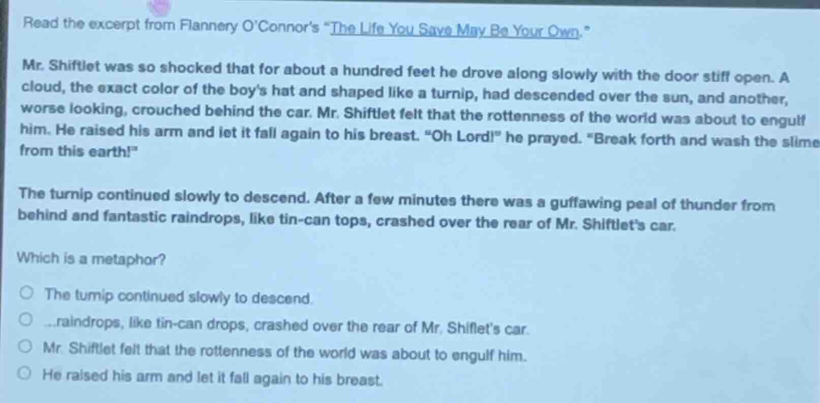 read the excerpt from flannery oconnors \the life you save may be your …