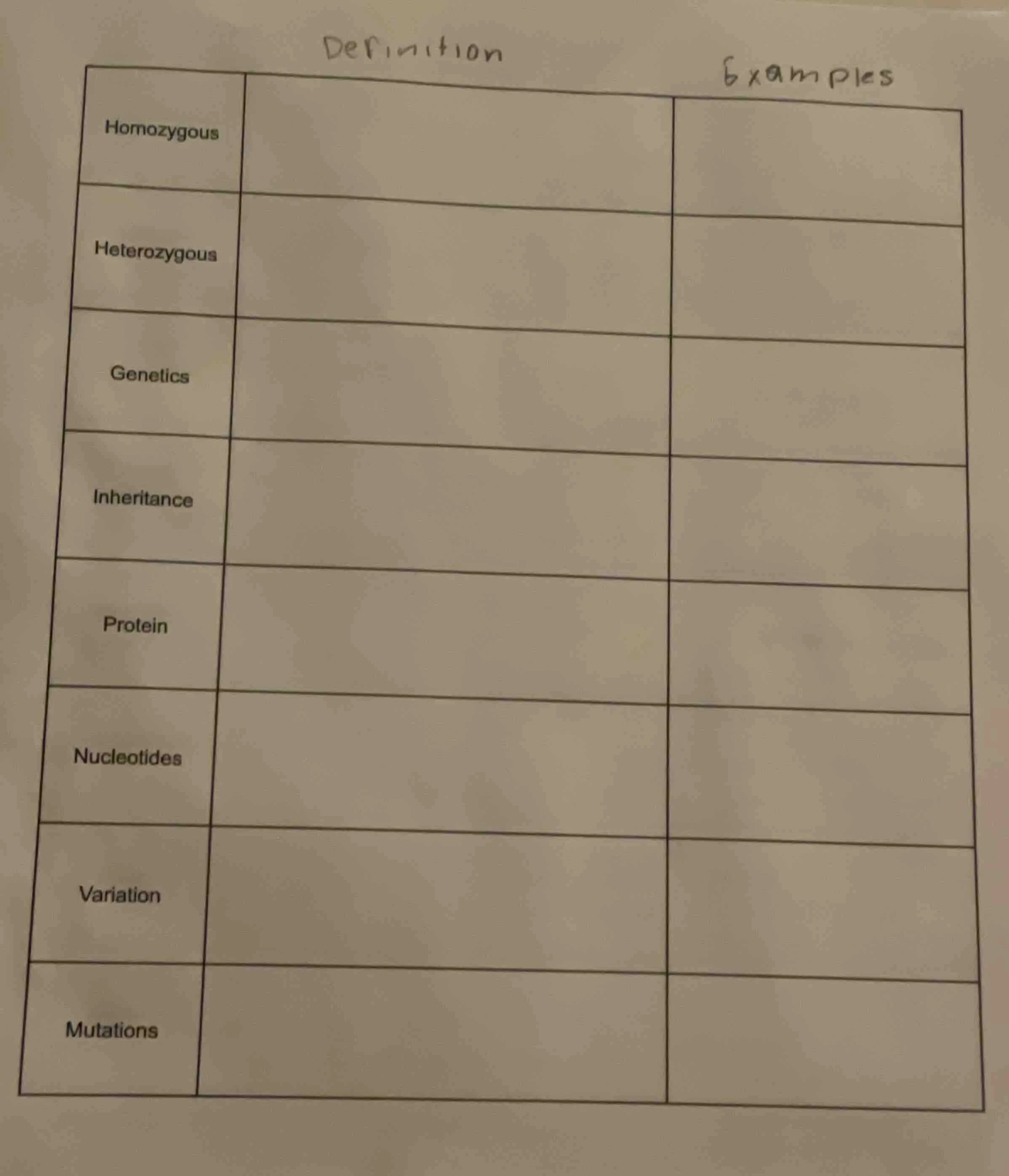 definition examples homozygous heterozygous genetics inheritance protei…
