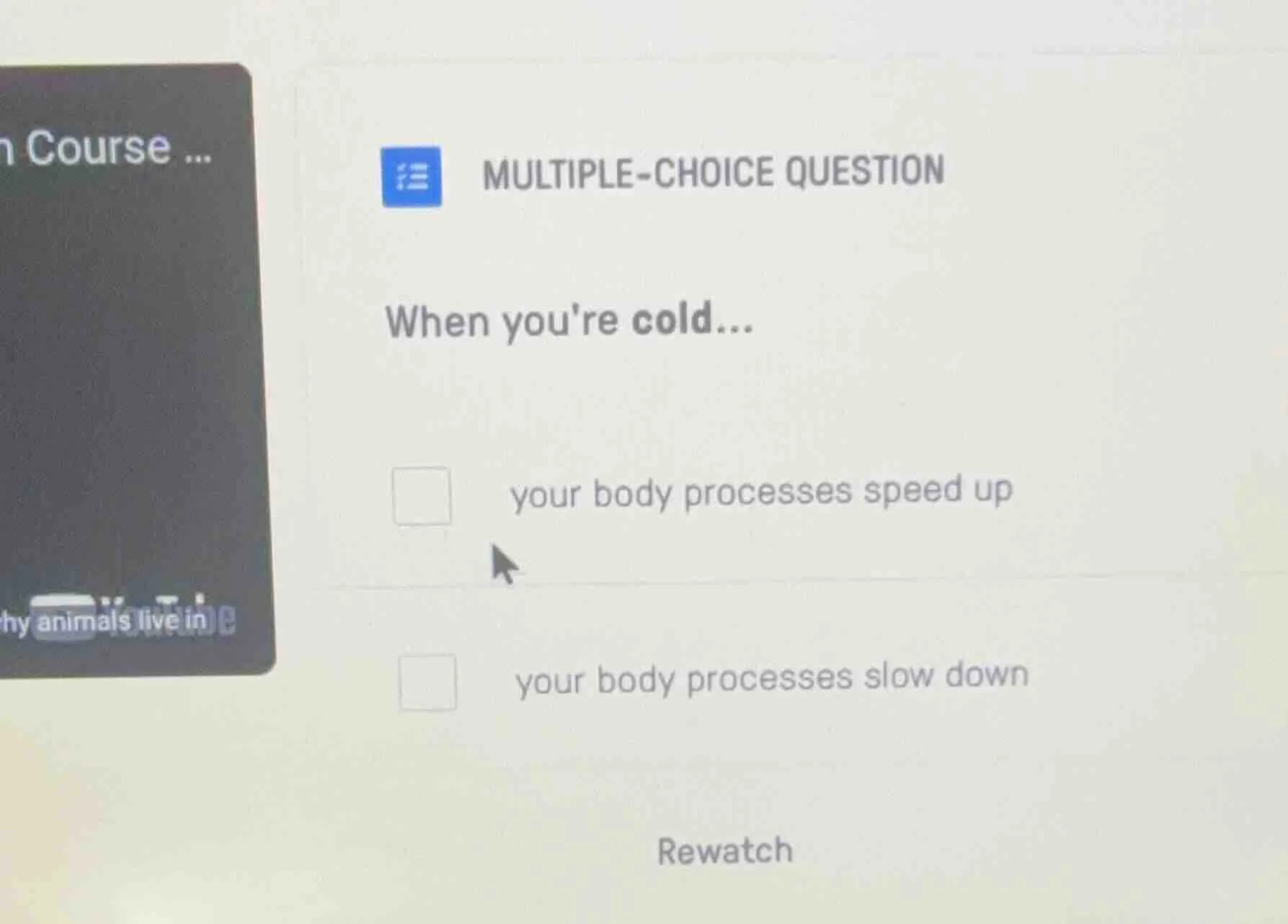 multiple-choice question when youre cold... your body processes speed u…
