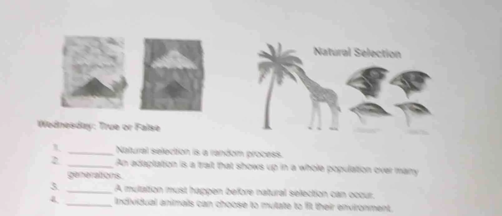 wednesday: true or false 1. ______ natural selection is a random proces…