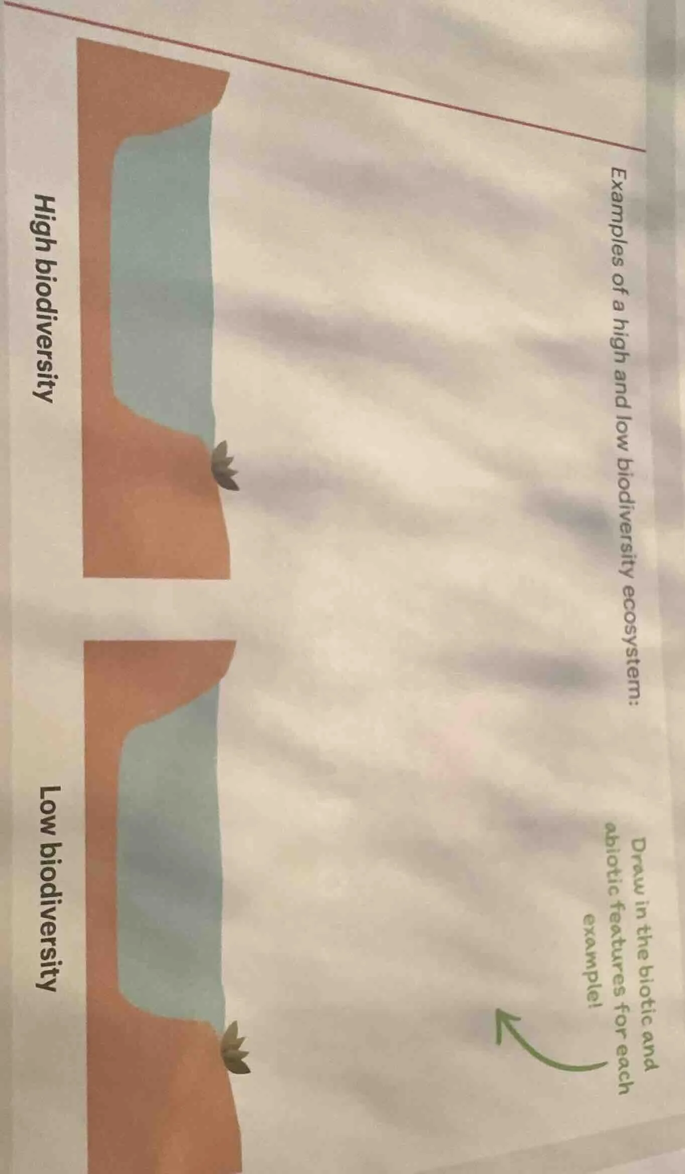 examples of a high and low biodiversity ecosystem: high biodiversity lo…