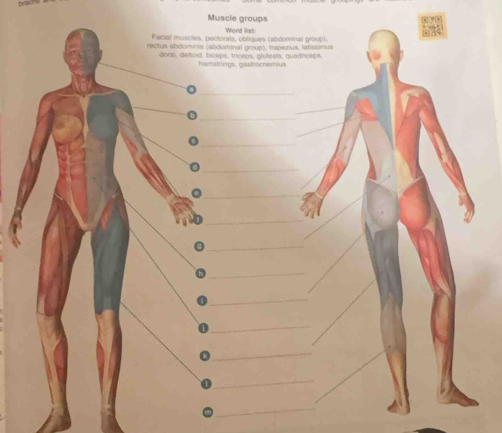 Question was provided via image upload.