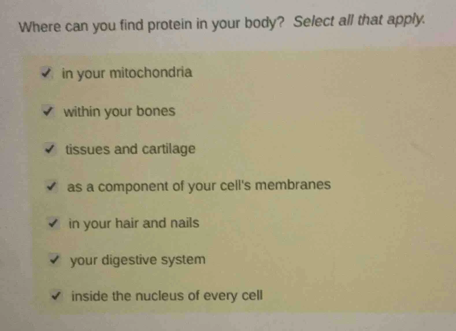 where can you find protein in your body? select all that apply. - in yo…