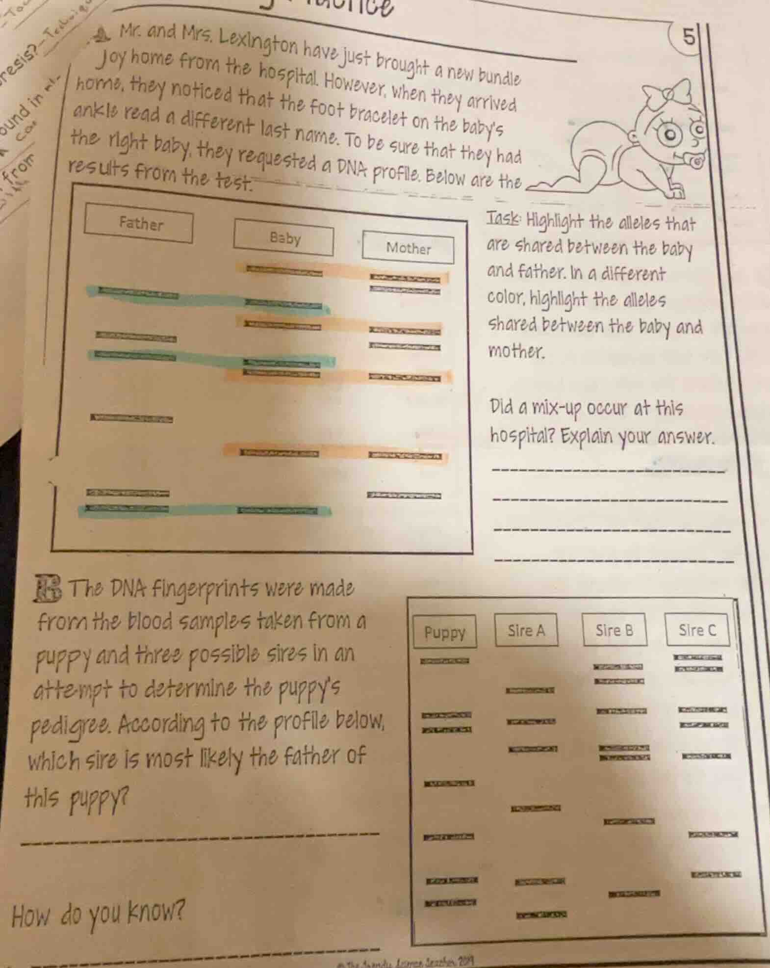 mr. and mrs. lexington have just brought a new bundle joy home from the…