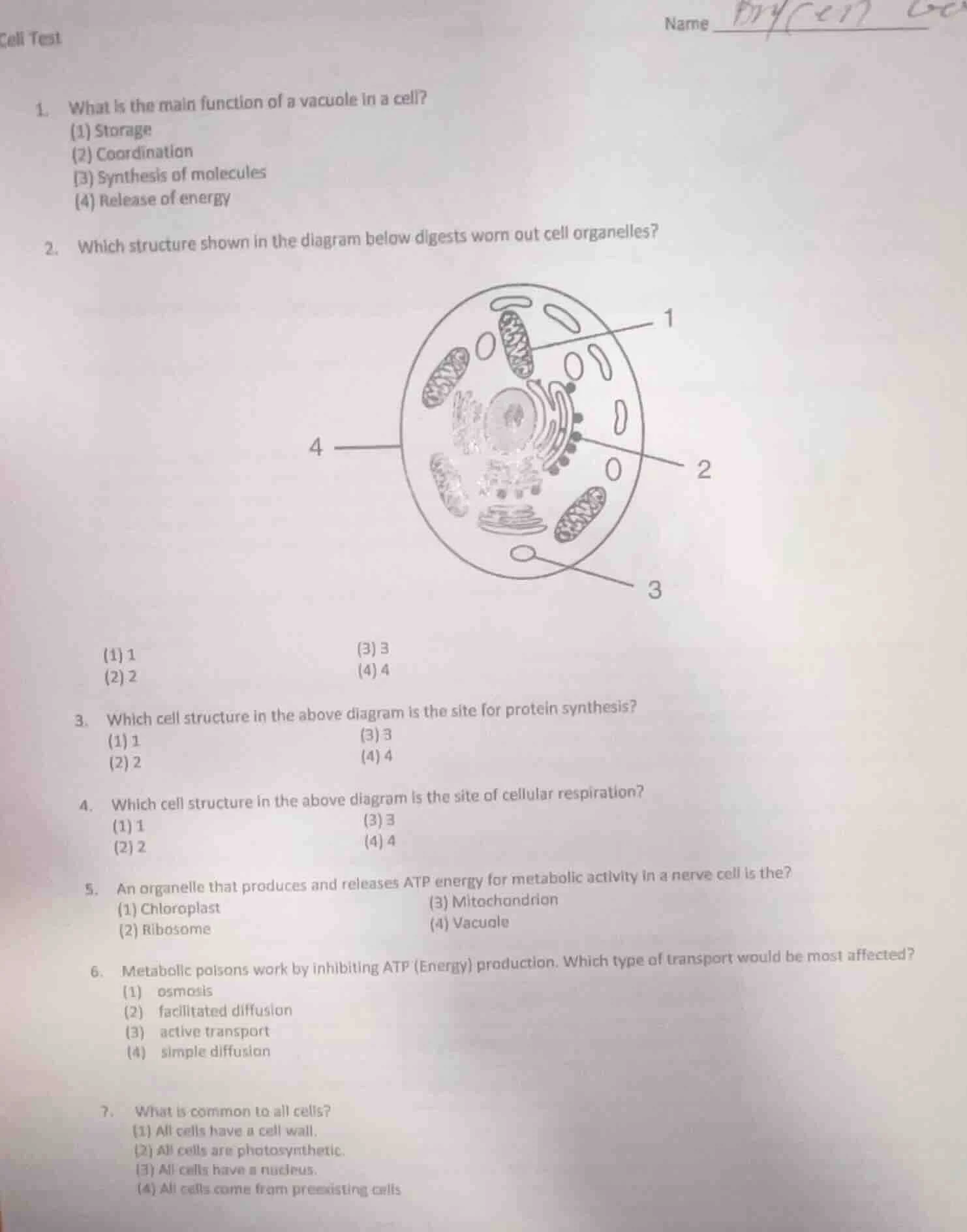 cell test name 1. what is the main function of a vacuole in a cell? (1)…
