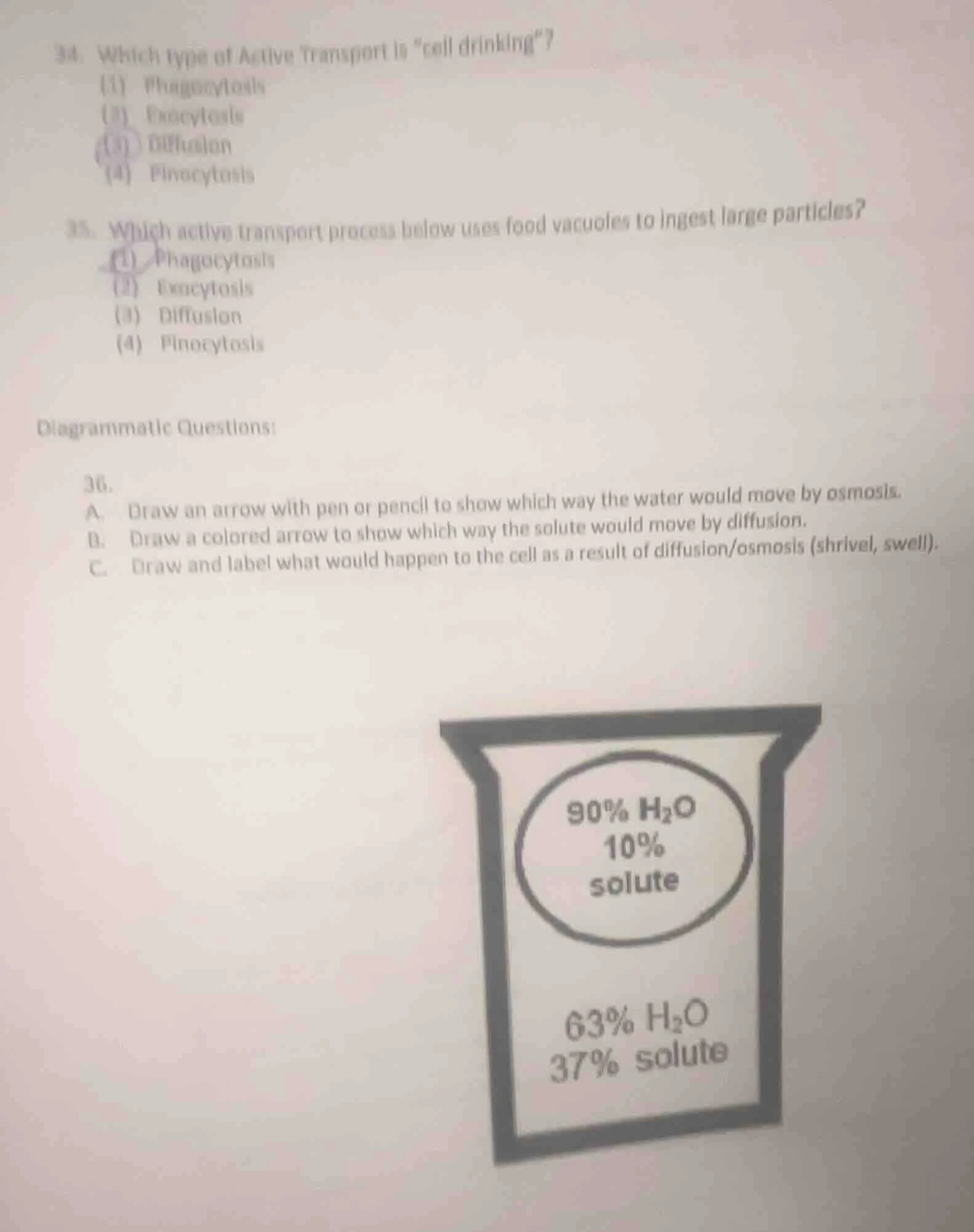 34. which type of active transport is \cell drinking\? (1) phagocytosis…