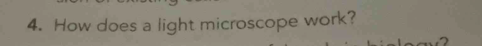 4. how does a light microscope work?