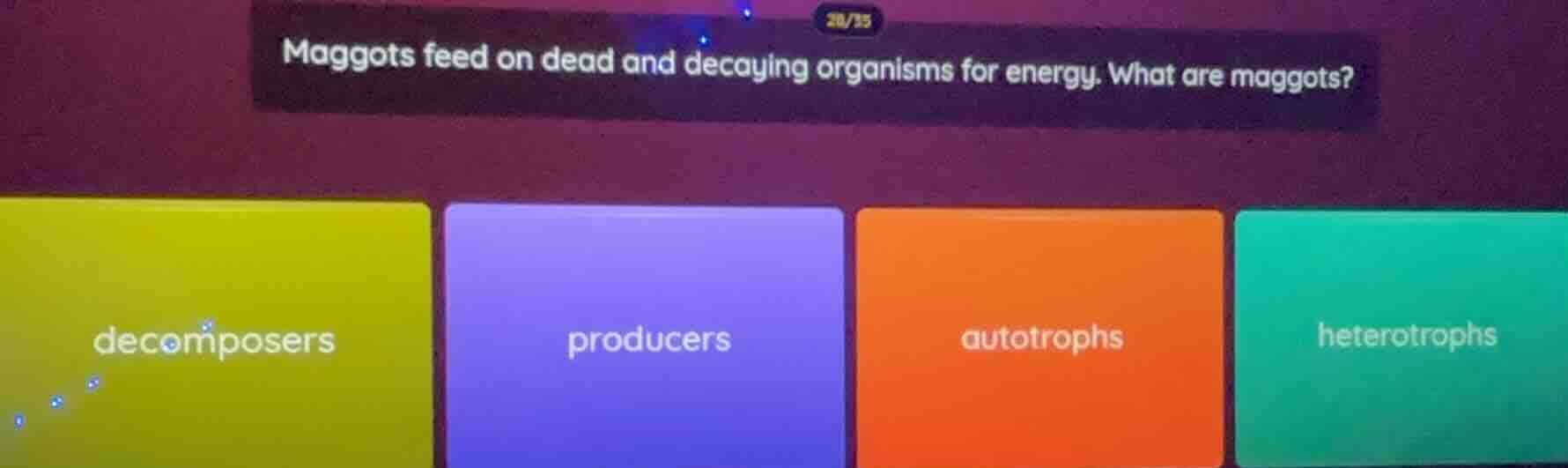 maggots feed on dead and decaying organisms for energy. what are maggot…