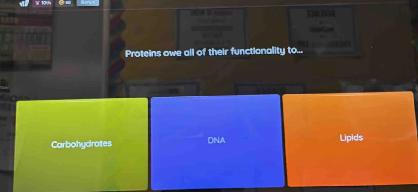proteins owe all of their functionality to... carbohydrates dna lipids