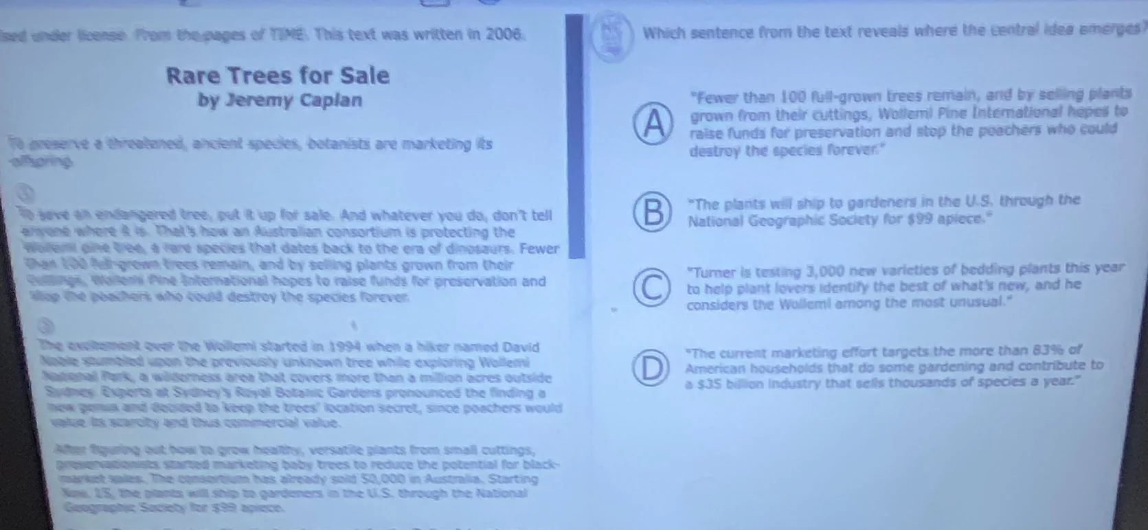 rare trees for sale by jeremy caplan to preserve a threatened, ancient …