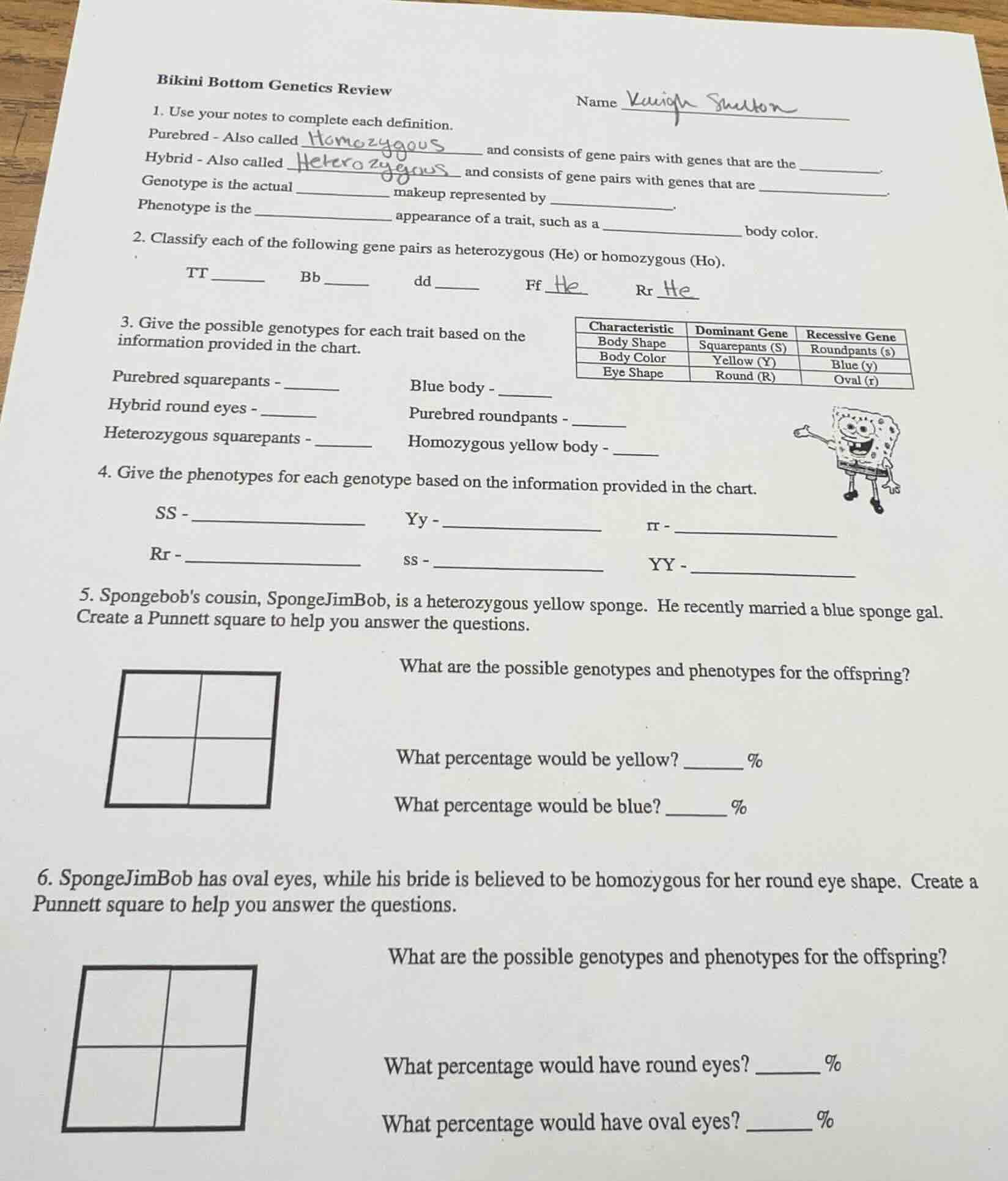 bikini bottom genetics review name 1. use your notes to complete each d…